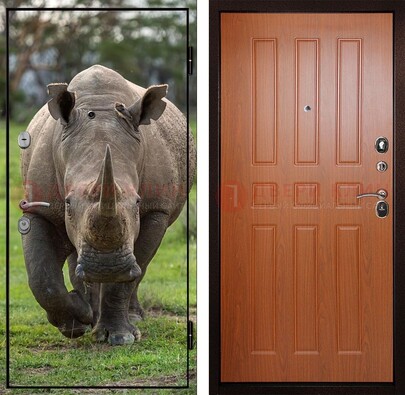 Металлическая дверь с фотопечатью носорога ДФ-31 в Кирове